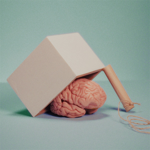 Brain in box