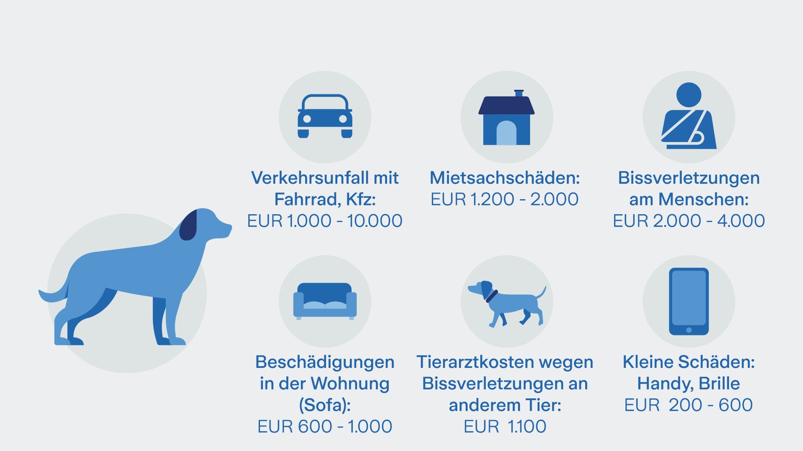 hundeversicherung_so-teuer-wird-es Übersicht: so teuer wird es ohne Hundehaftpflicht
