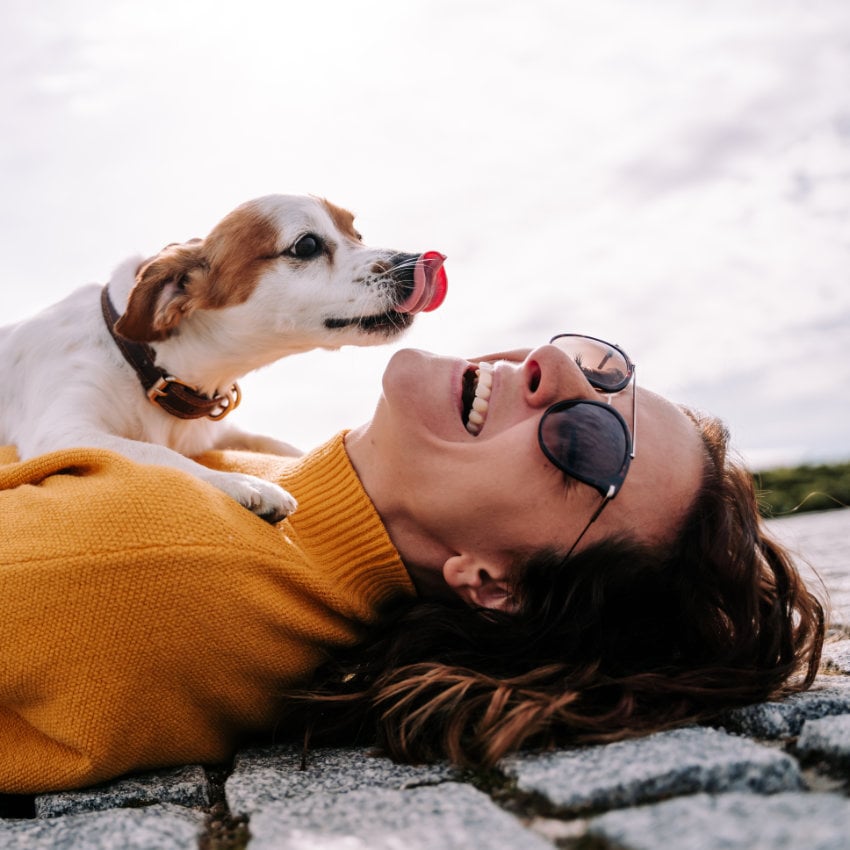 shutterstock_1829212376 Hund leckt lachender Frau das Gesicht ab