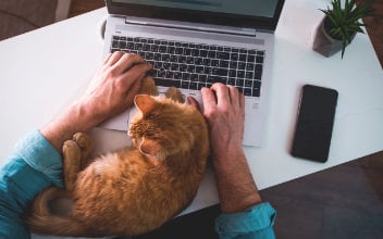Phishing Mails