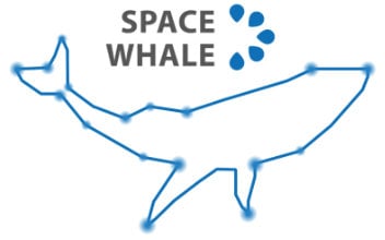 spacewhale_352x220_2024_09