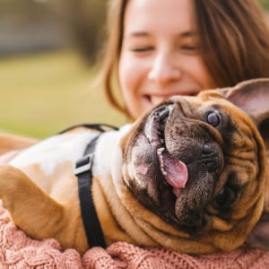 hundehalterhaftpflicht_300x300_2020_11