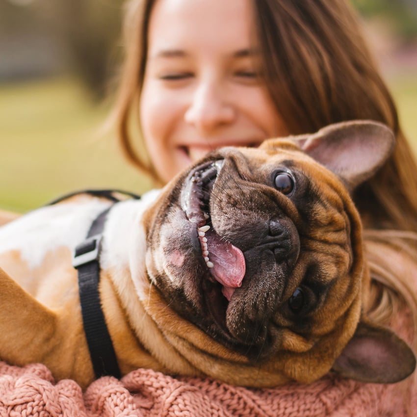 Mädchen und Hund in Bett