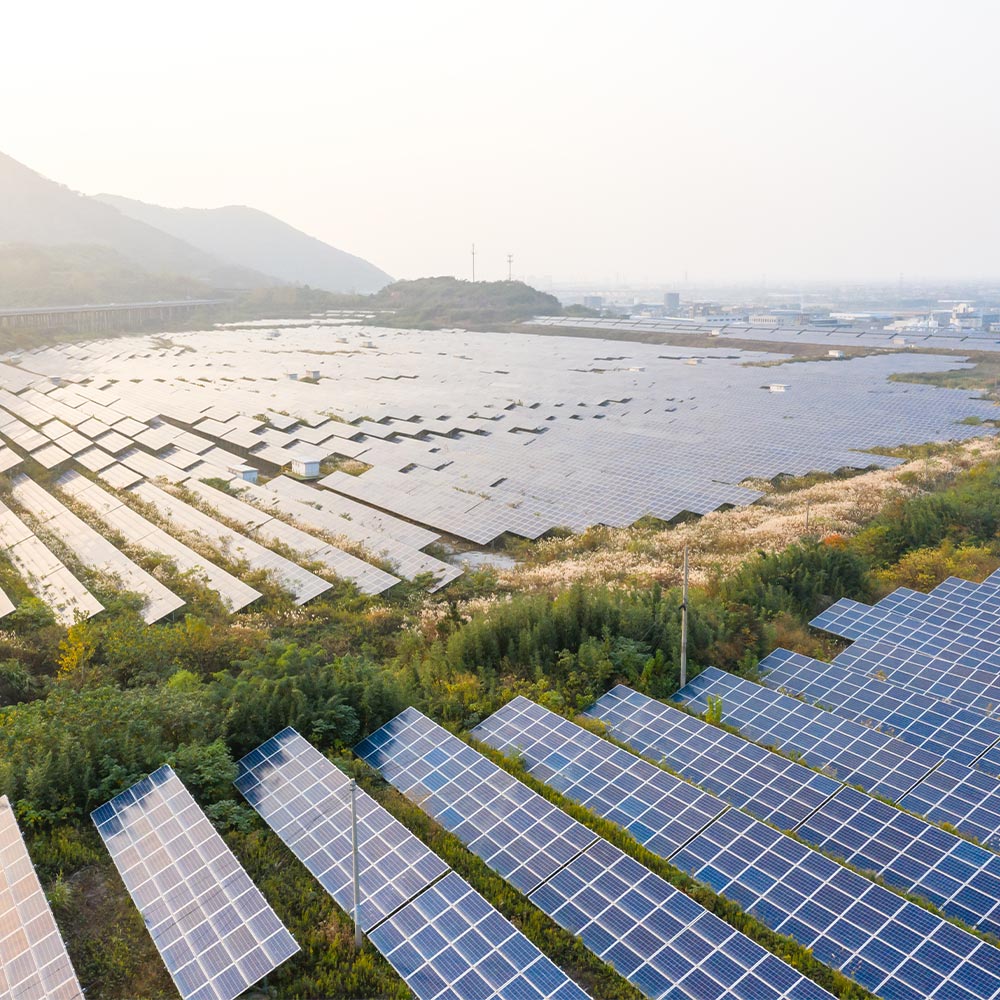 Solar panel fields