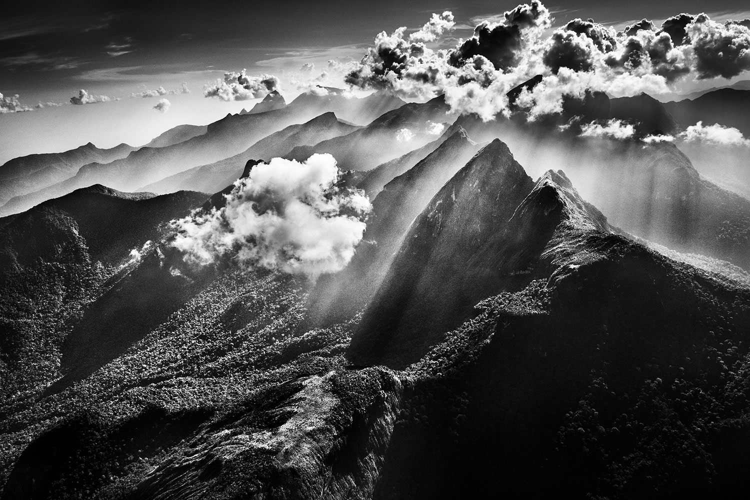 Amazonia exhibition landscape with mountains