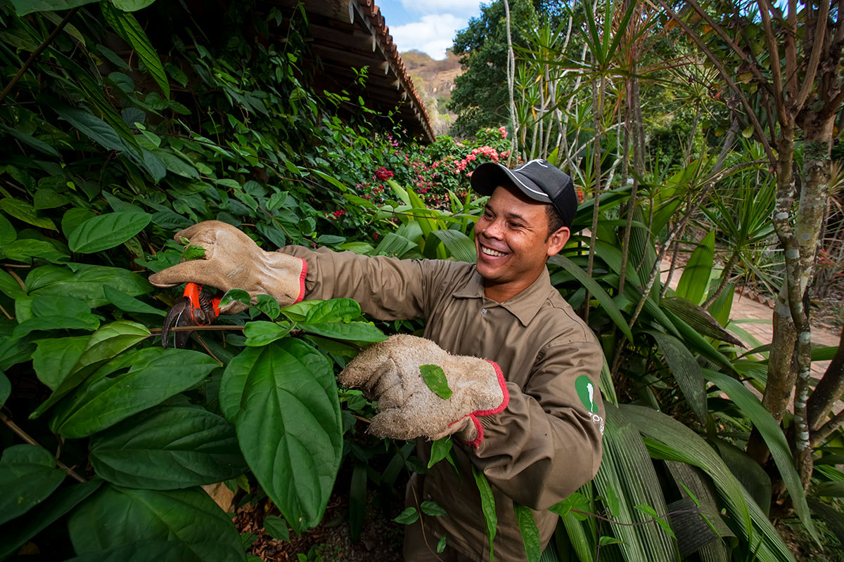 Instituto Terra employee working with plants