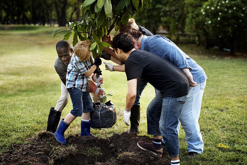 A group of people planting a tree together