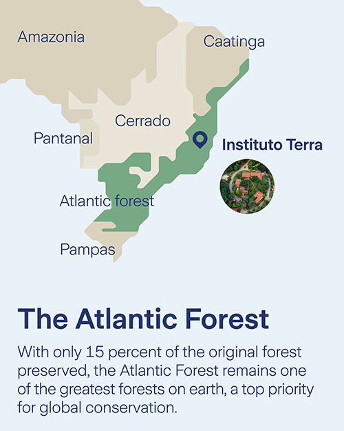 Zurich Forest 5 Year Anniversary - Slide 2