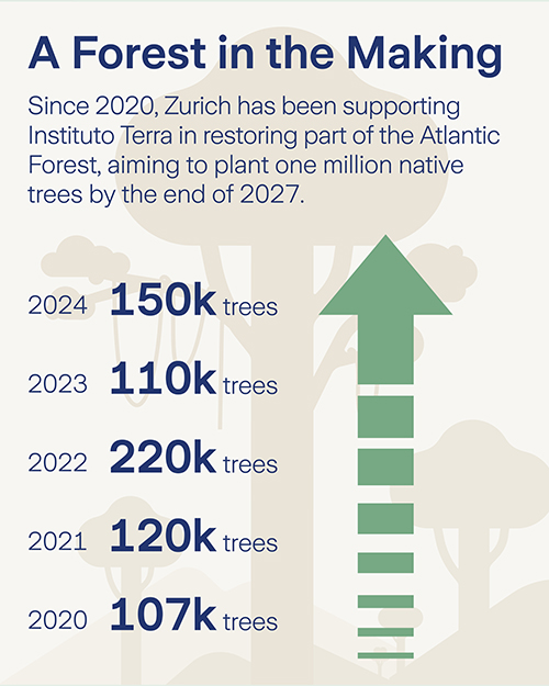Zurich Forest 5 Year Anniversary - Slide 3