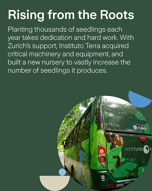 Zurich Forest 5 Year Anniversary - Slide 5