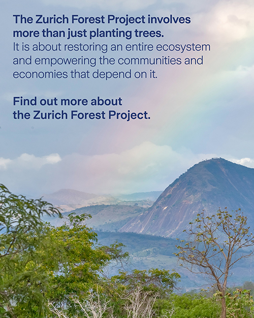 Zurich Forest 5 Year Anniversary - Slide 9