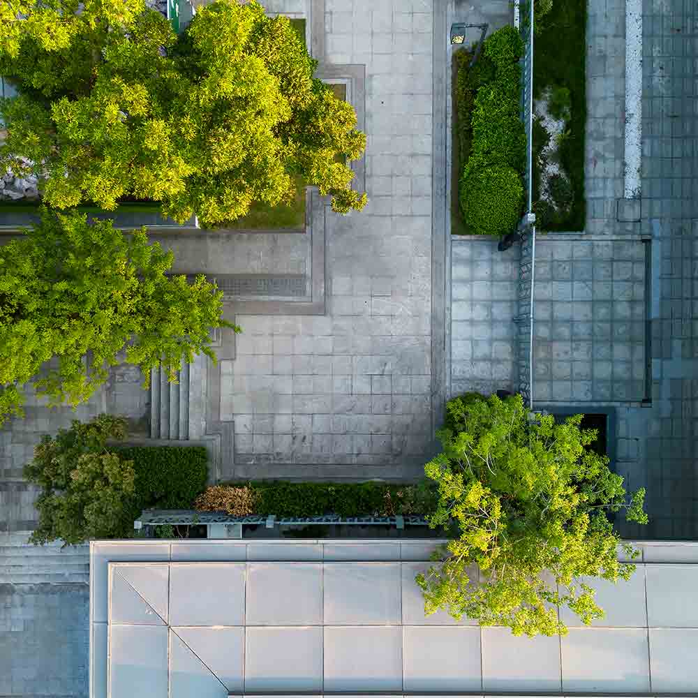 tree in patio of modern building from drone perspective