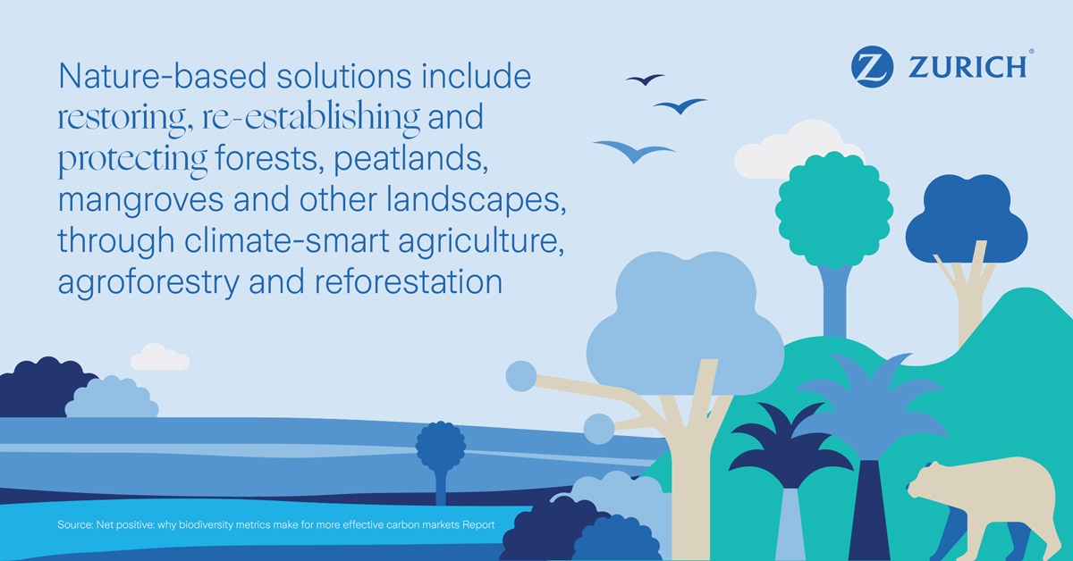 fast fact on nature-based solutions