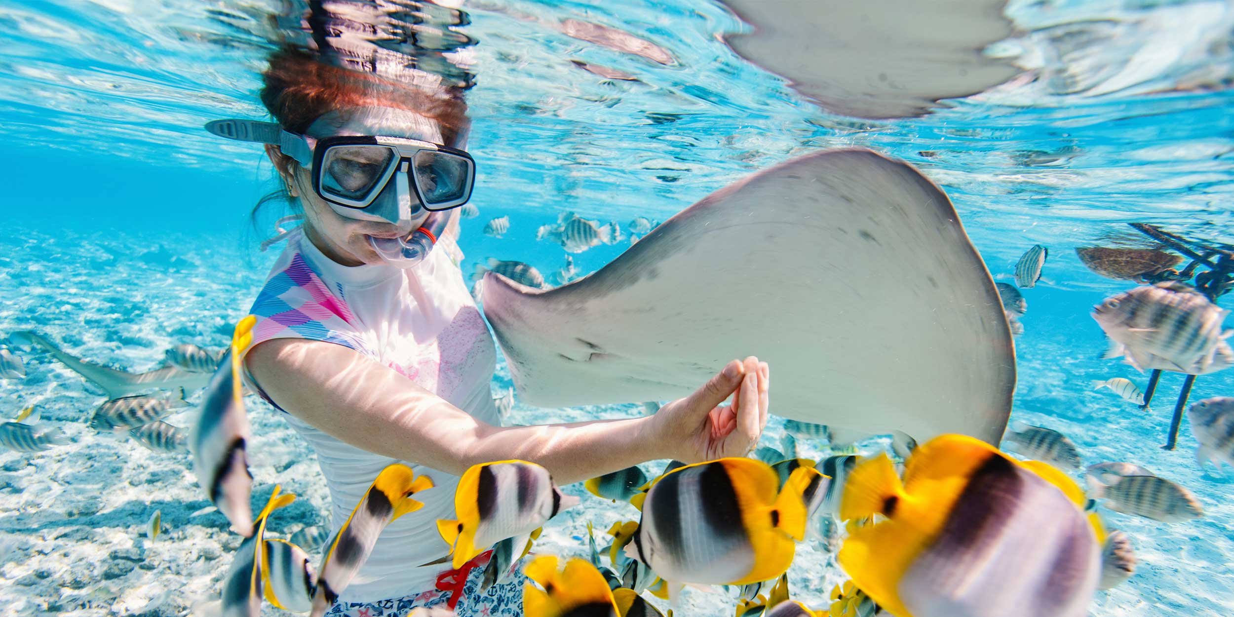 a girl snorkling surrounded by fish