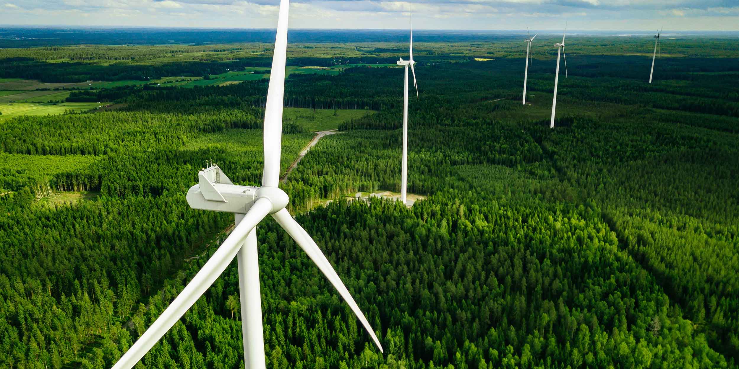 windmills in green summer forest