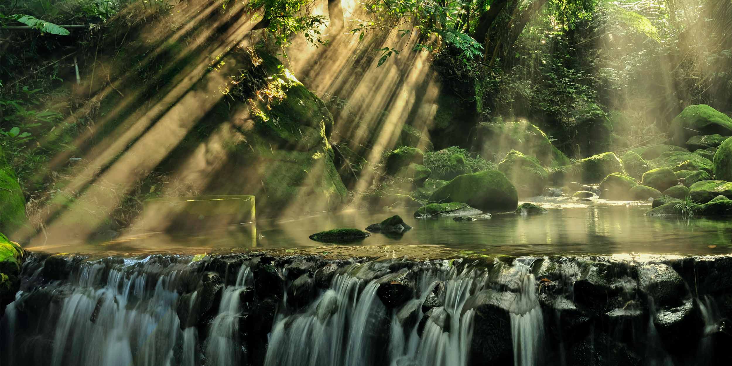 pond with waterfall in forest