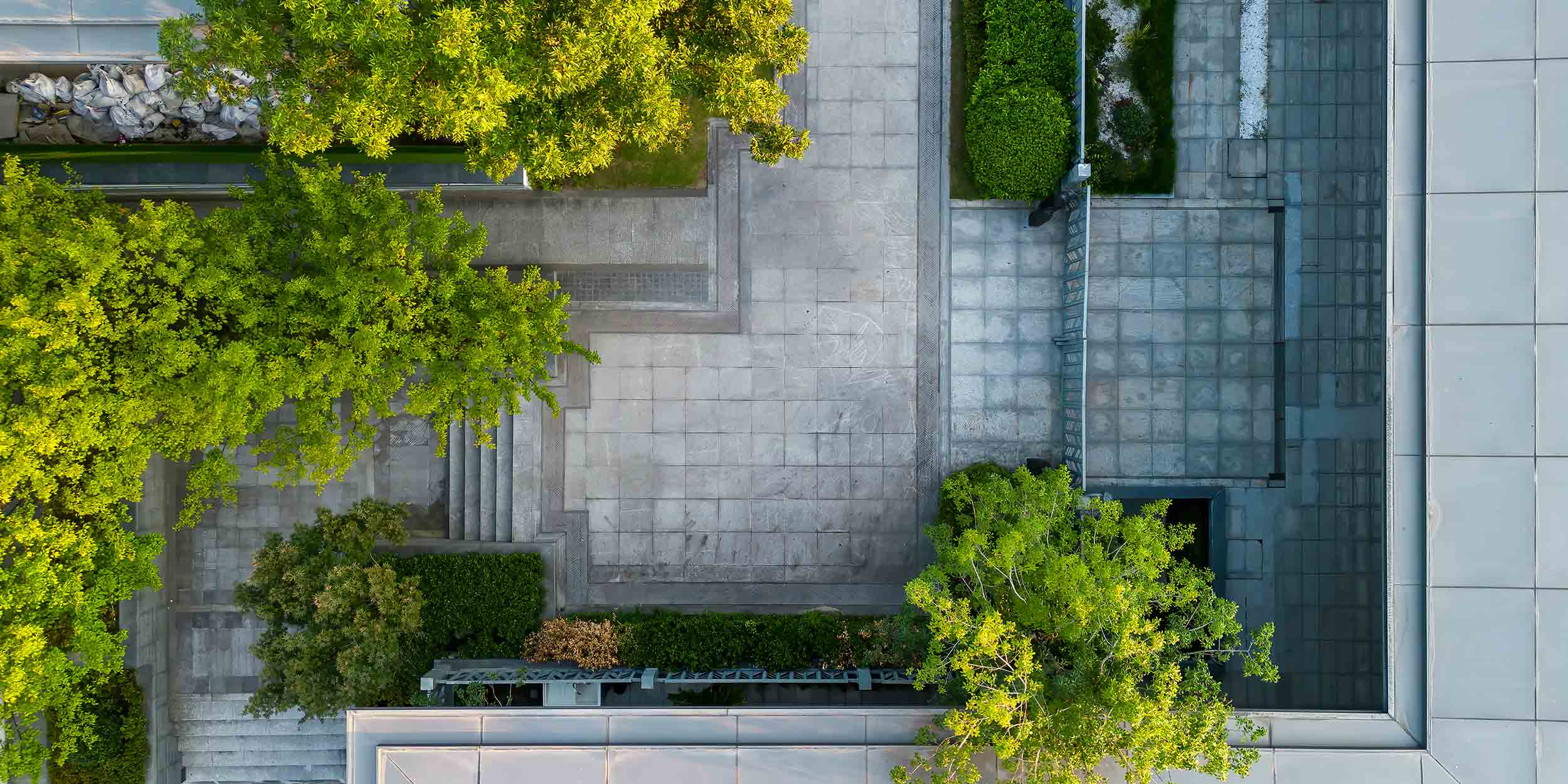 tree in patio of modern building from drone perspective