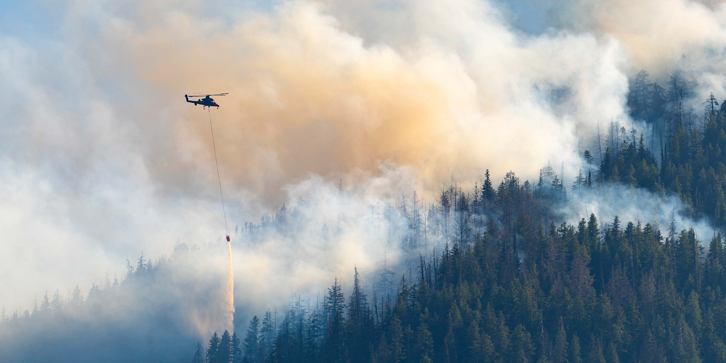Helicopter extinguishes a forest fire