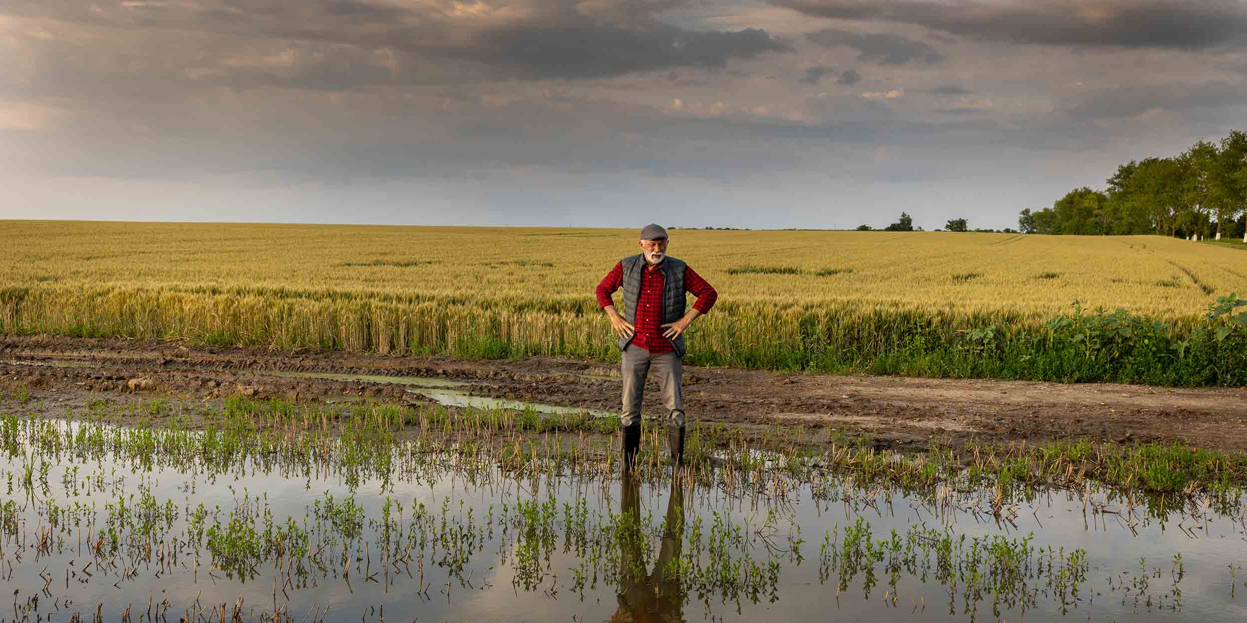farmer standing beside pond of flooded agricultural field