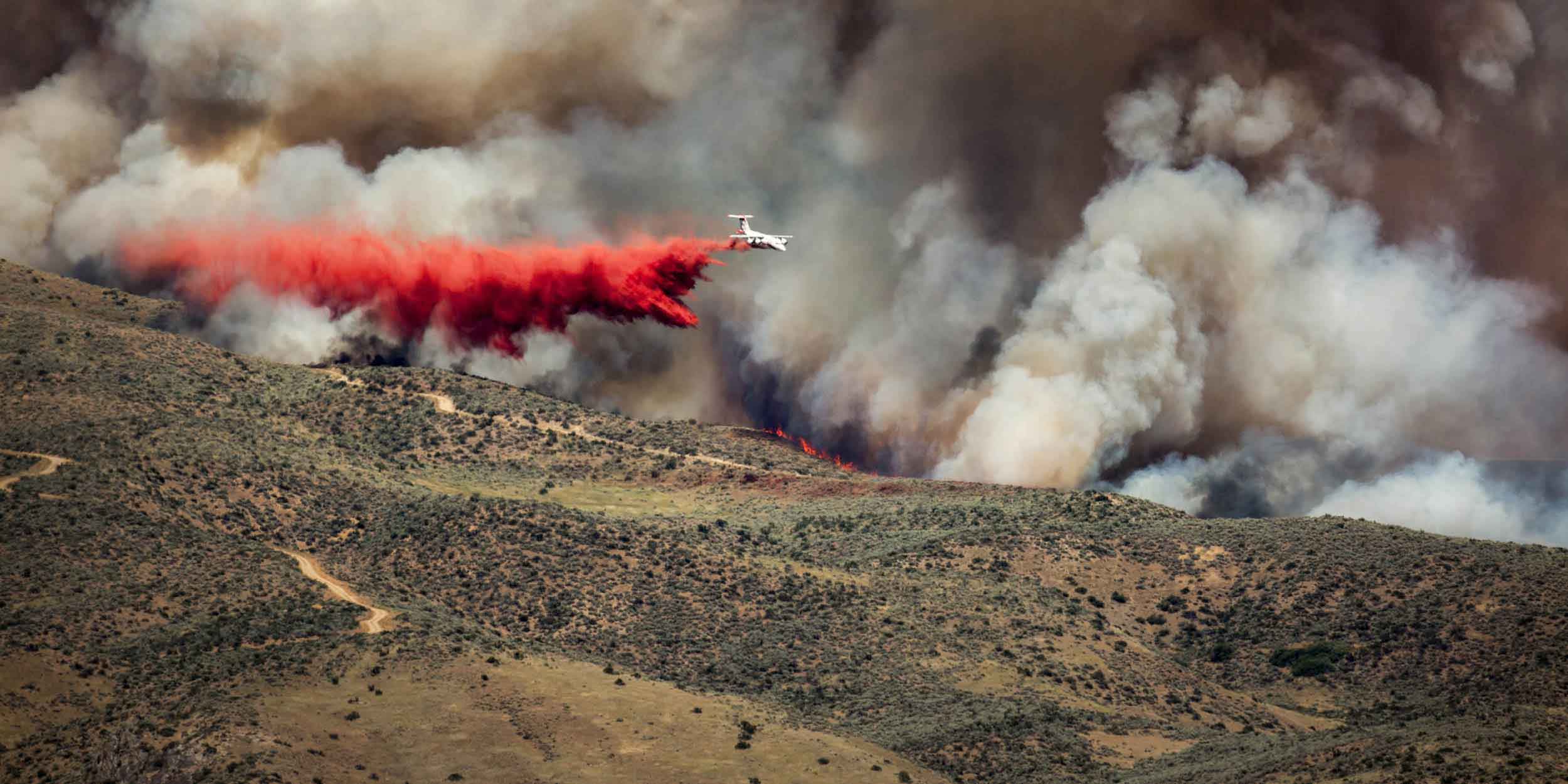 plane over forest put out wildfire