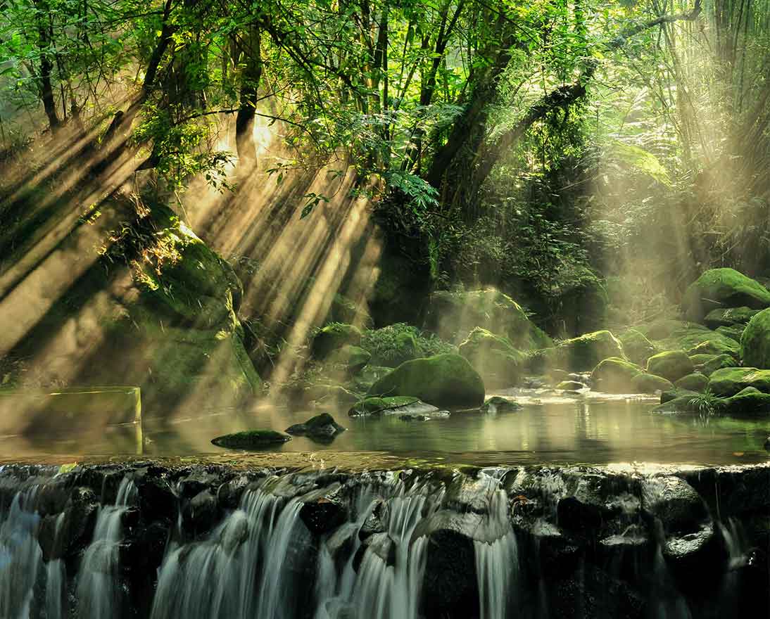 pond with waterfall in forest