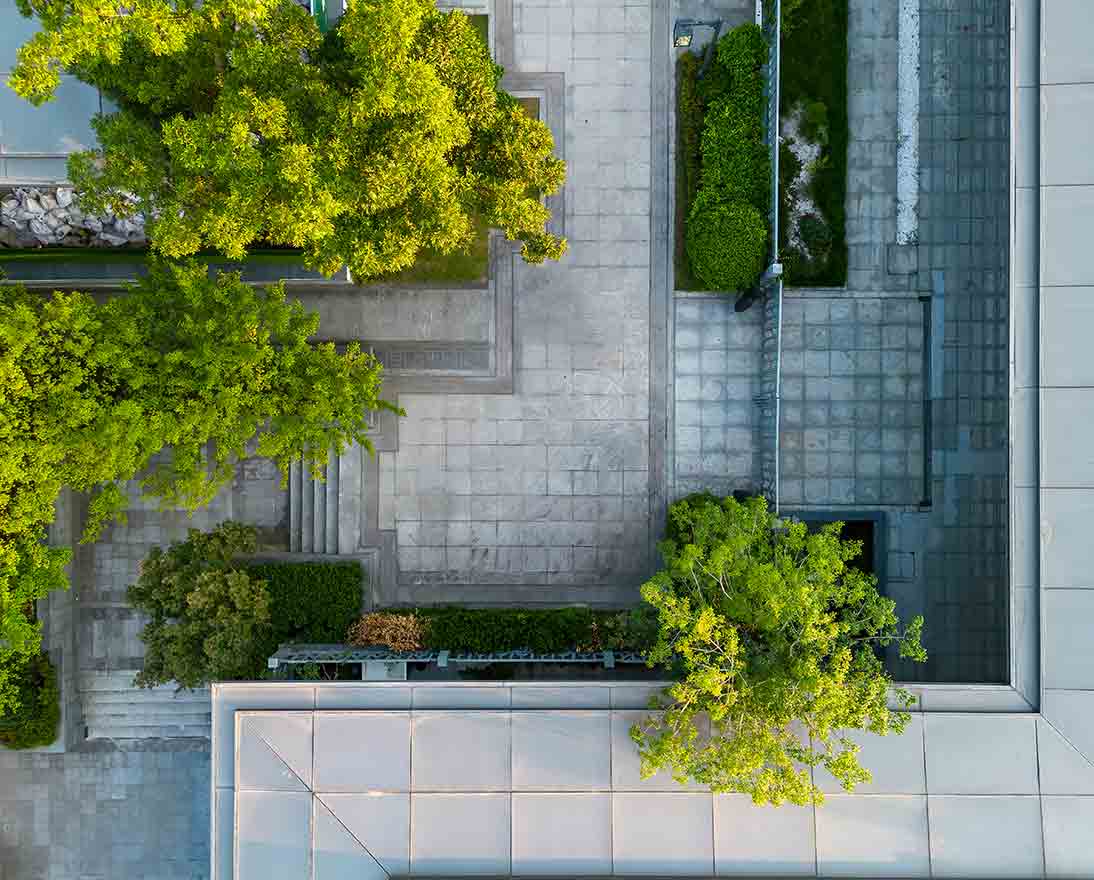 tree in patio of modern building from drone perspective