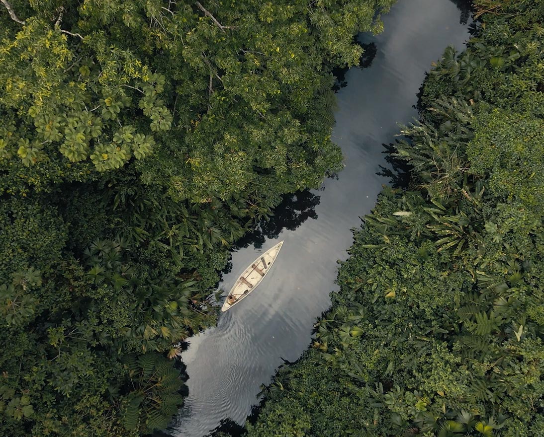 river with boat in the forest