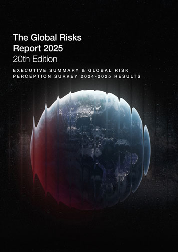 The Global Risks Report 2025 cover