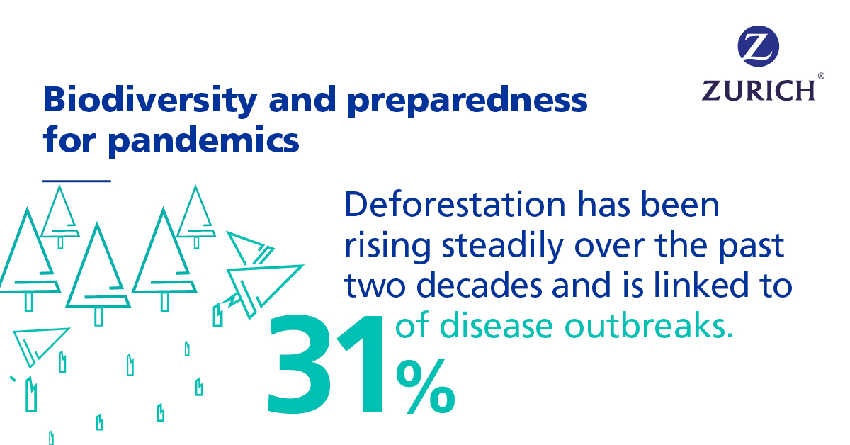 Fast fact Deforestation