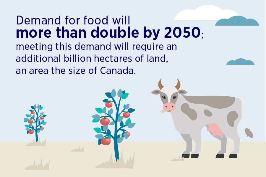 Fast fact food demand