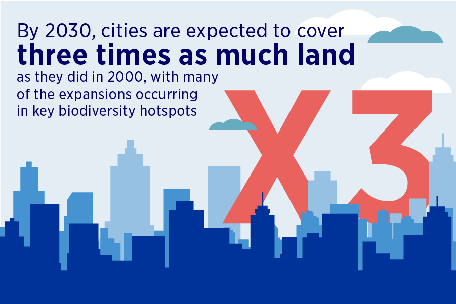 Fast fact expanding cities