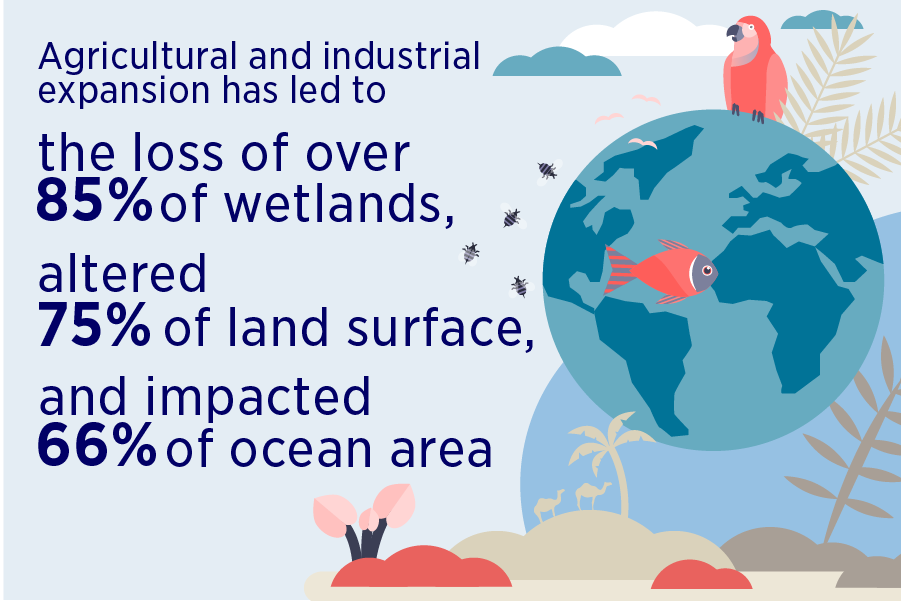 Fast fact loss of biodiversity