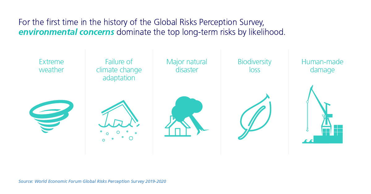 environmental concerns infographic