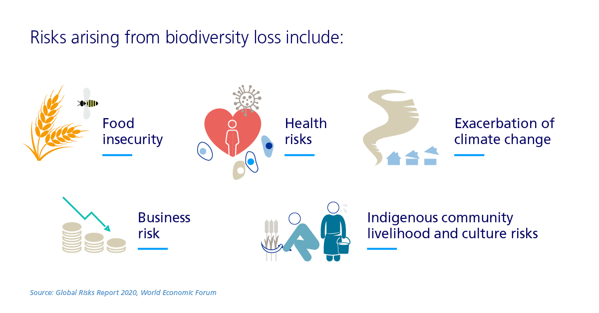 risks arising infographic