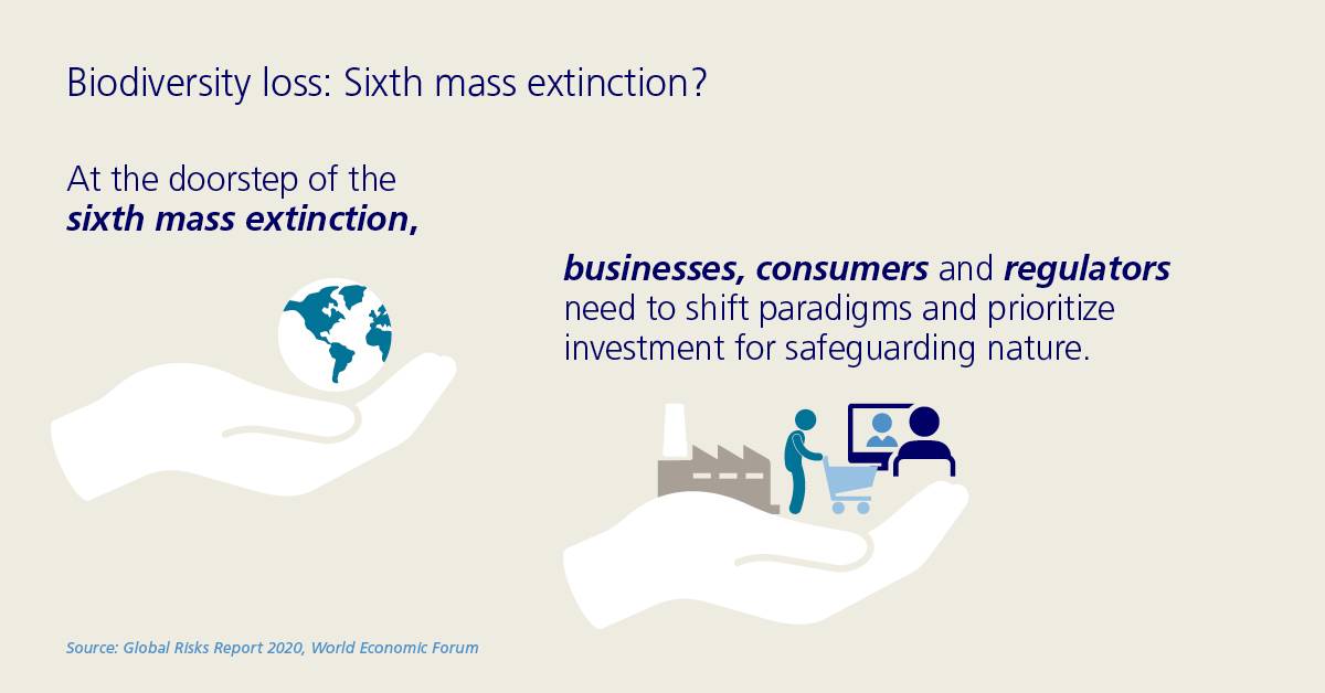 sixth mass extinction infographic