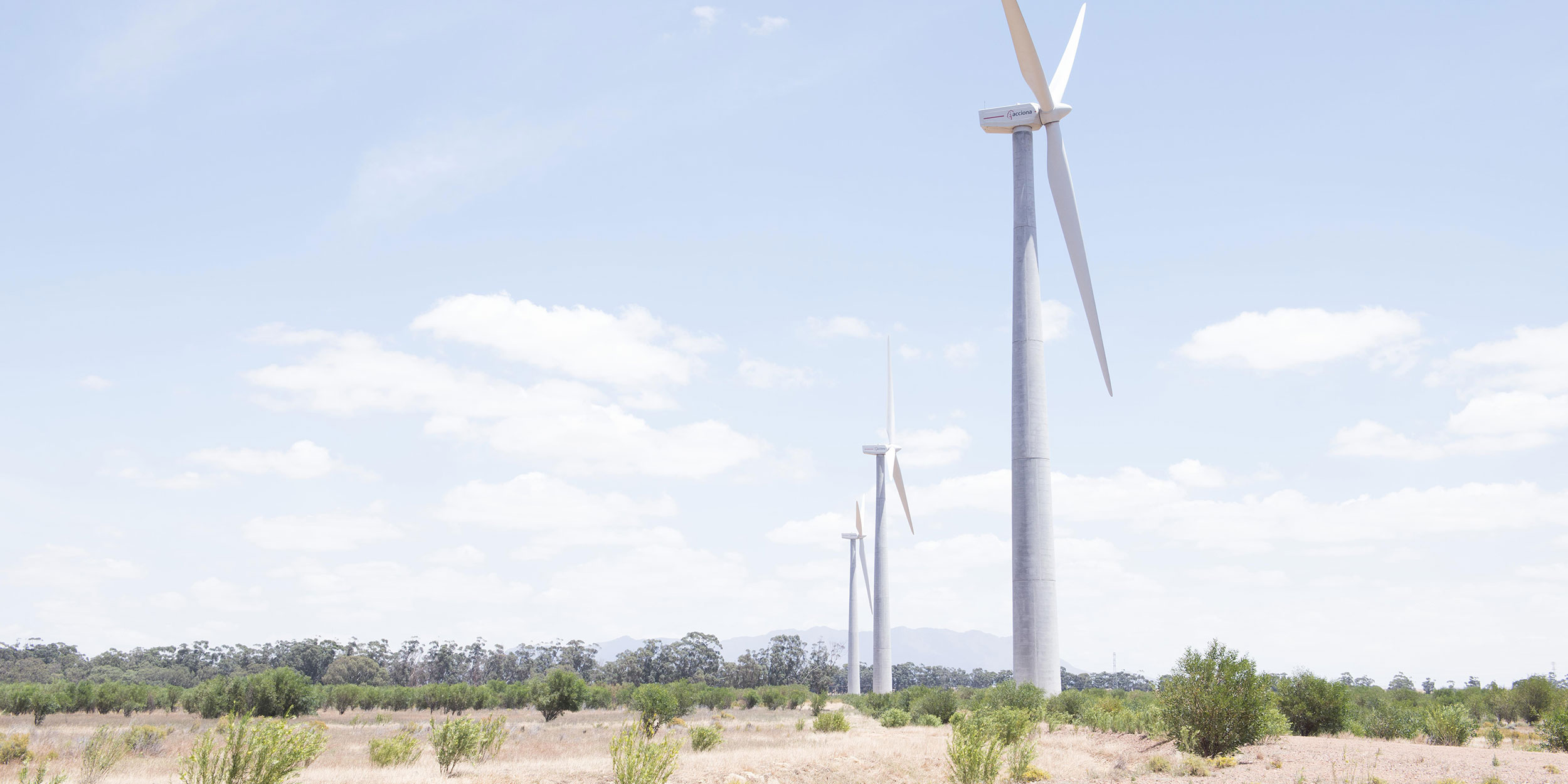 windmills
