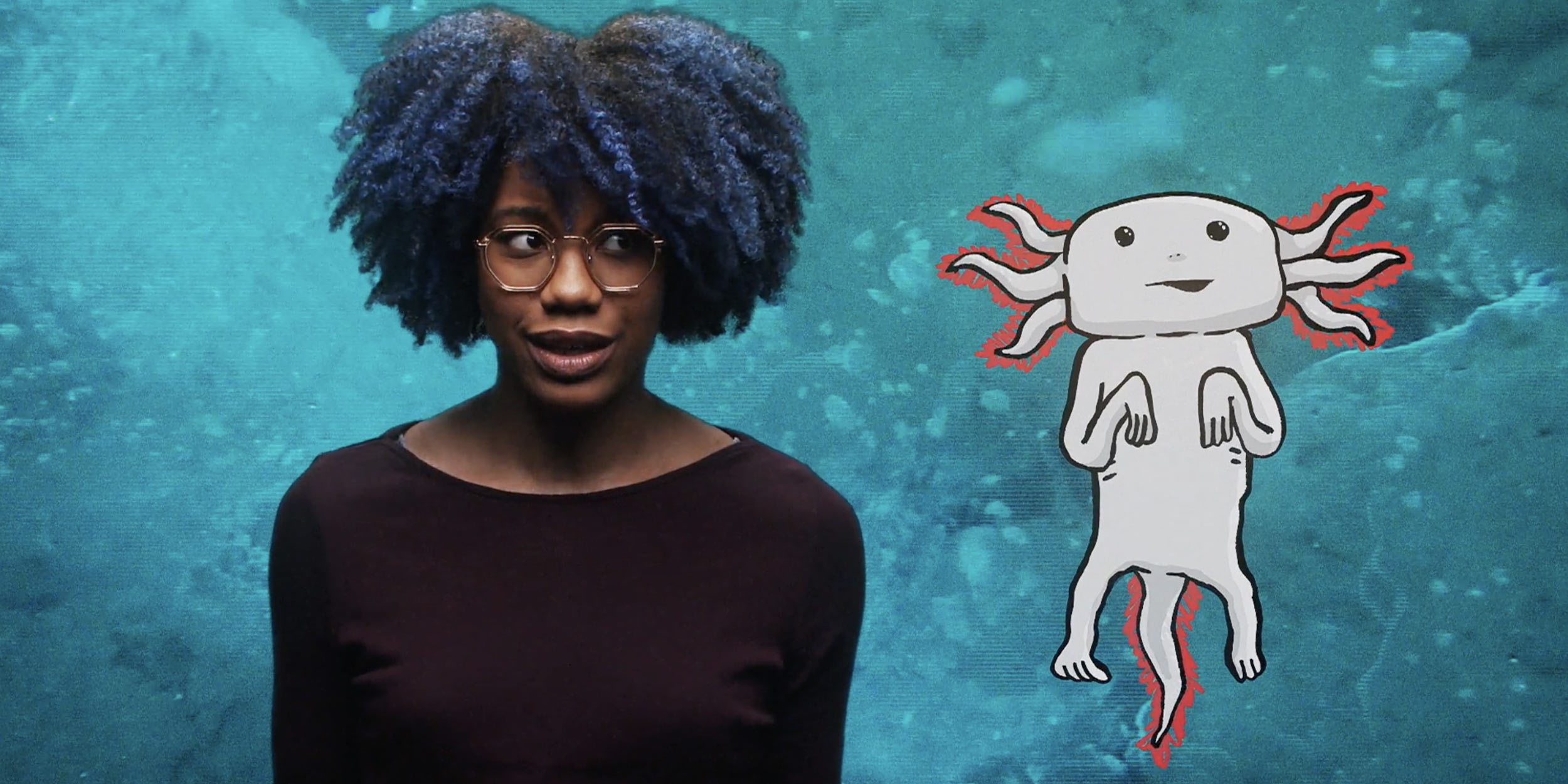 A cute axolotl
