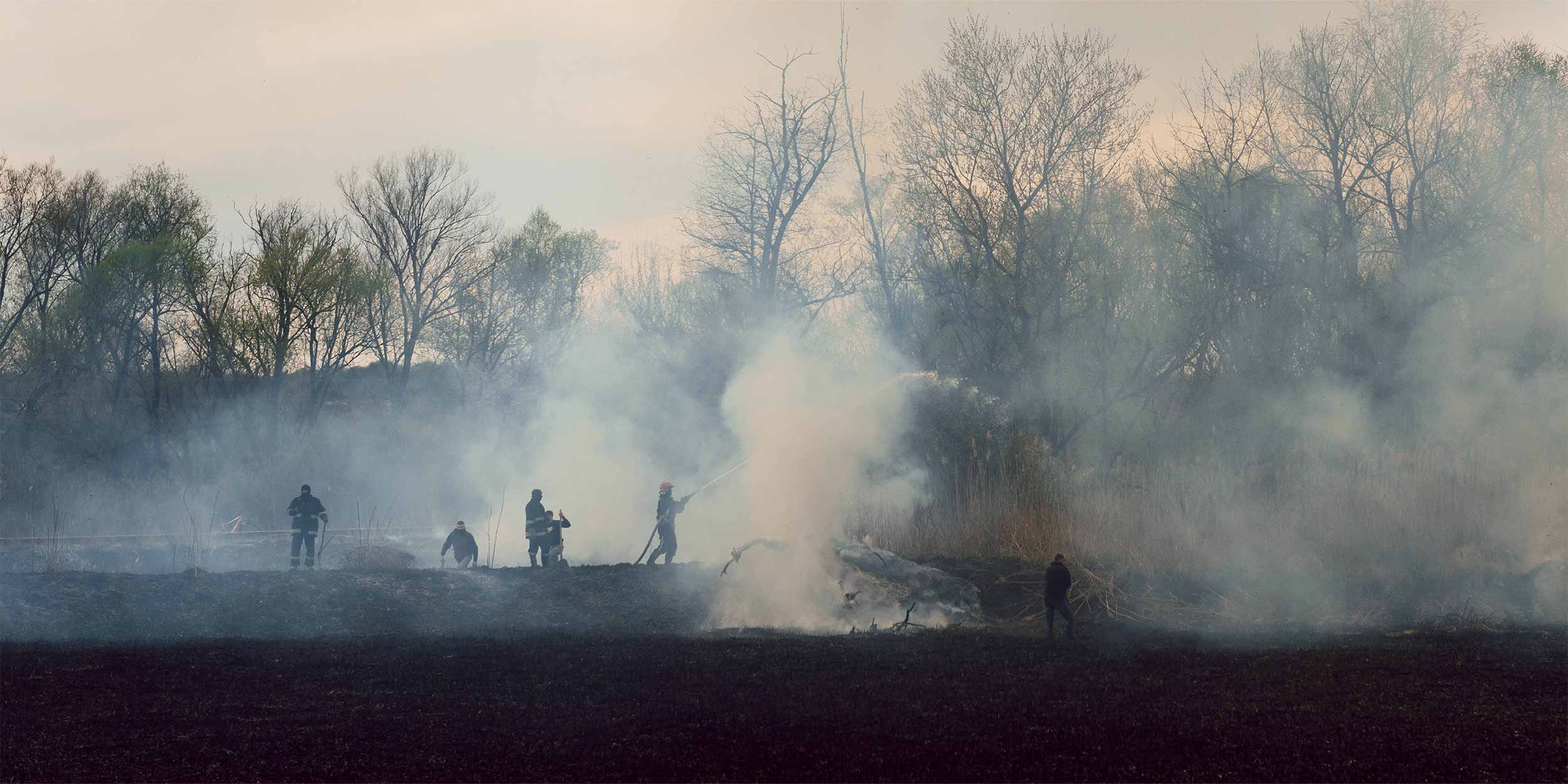 firefighters stopping fire in woods