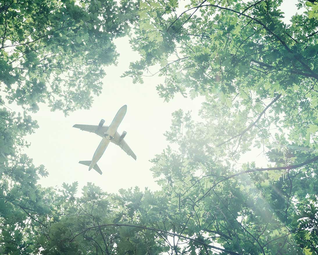 airplane above trees