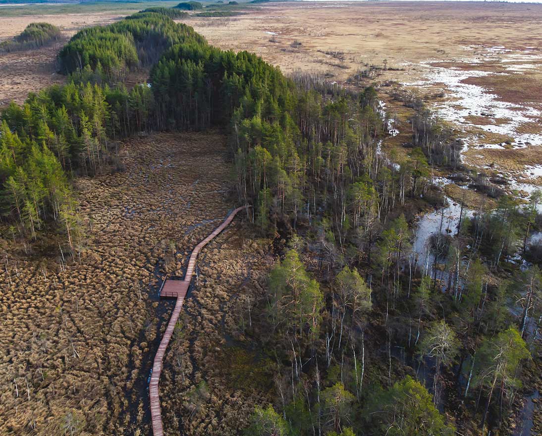 Aerial view of wooden walkway