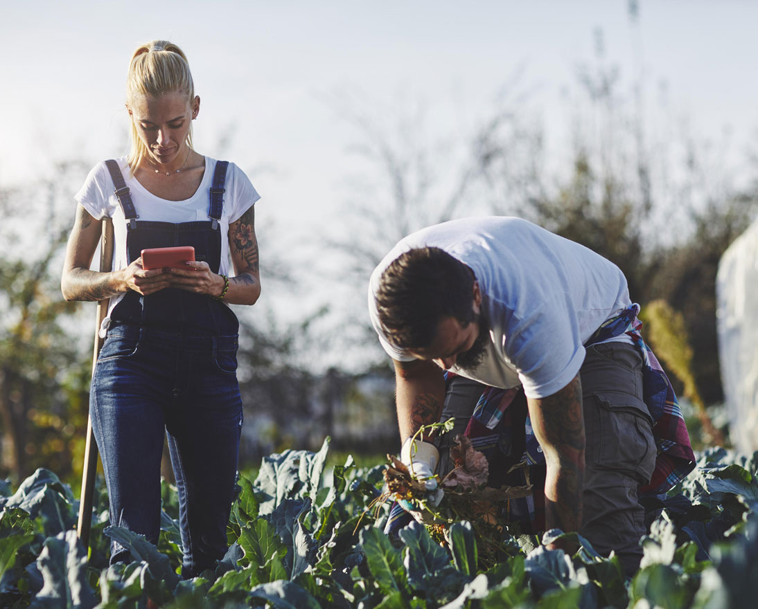 people in field