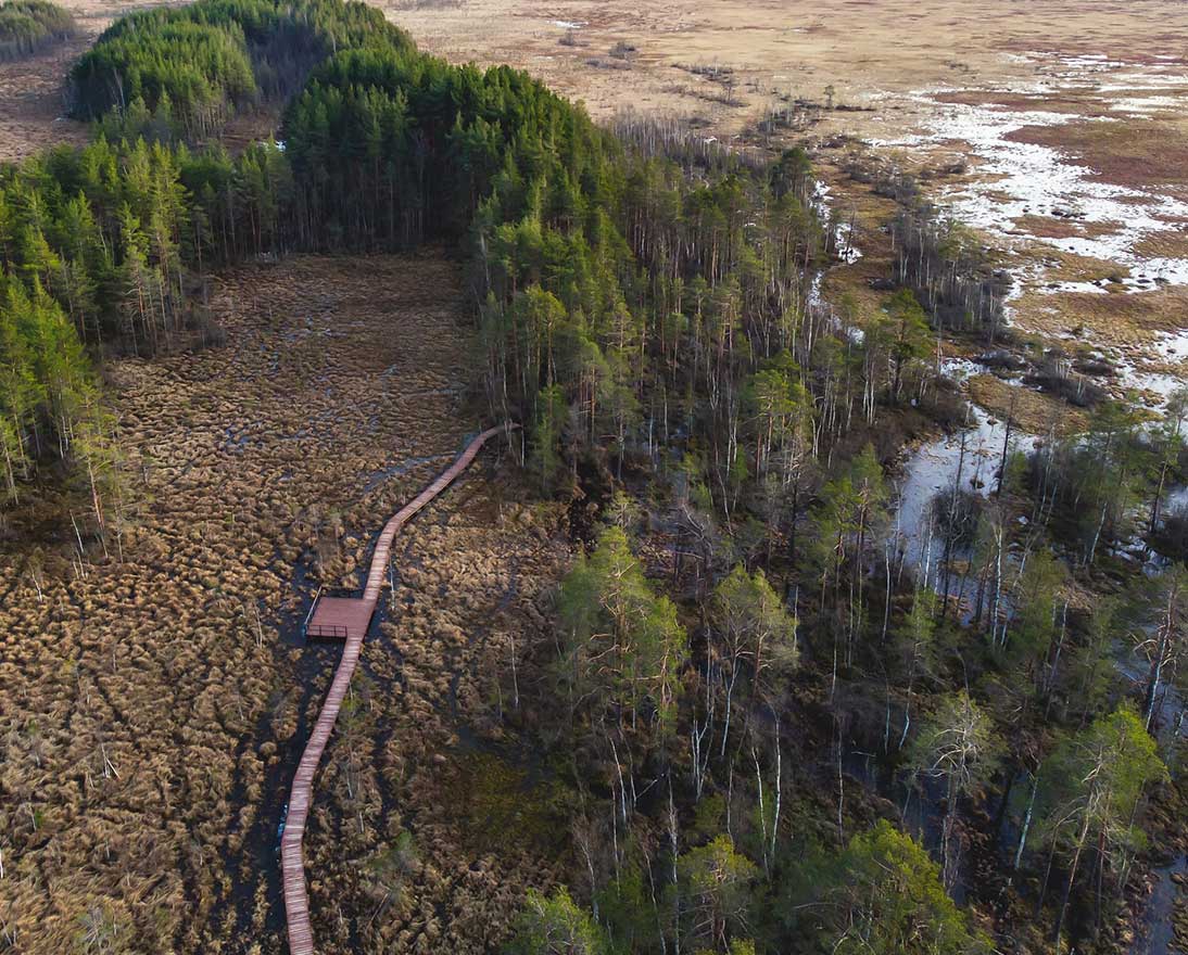 Aerial view of wooden walkway