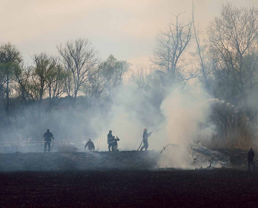 firefighters stopping fire in woods