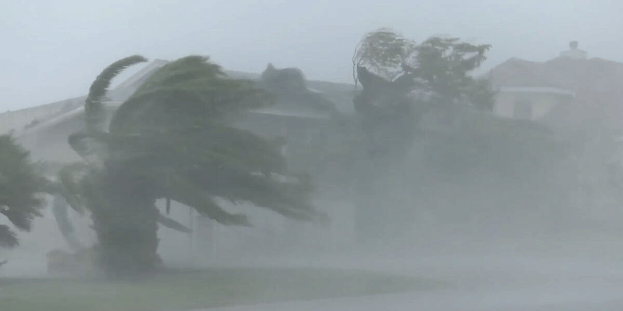 hail-or-hurricane