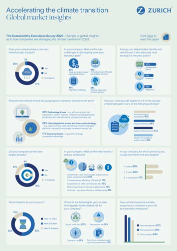 cover Global and local market insights