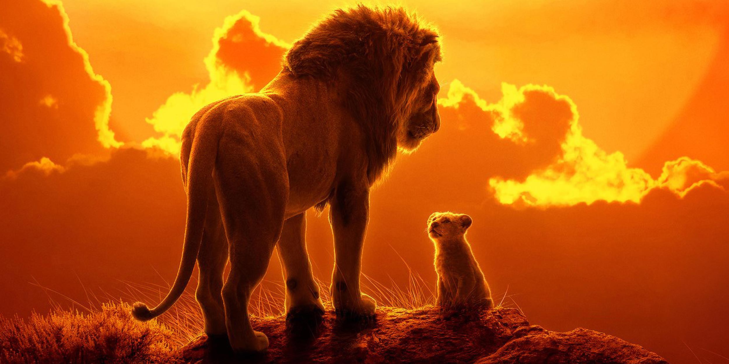 lion looking at lion cub