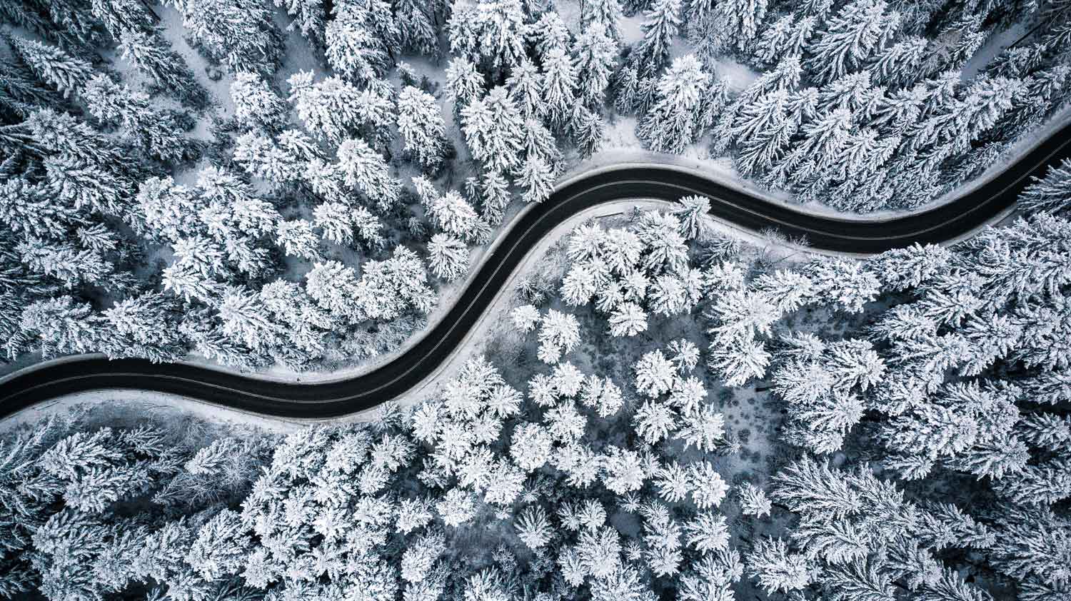 snowy road