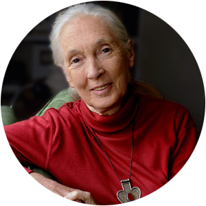 portrait Jane Goodall