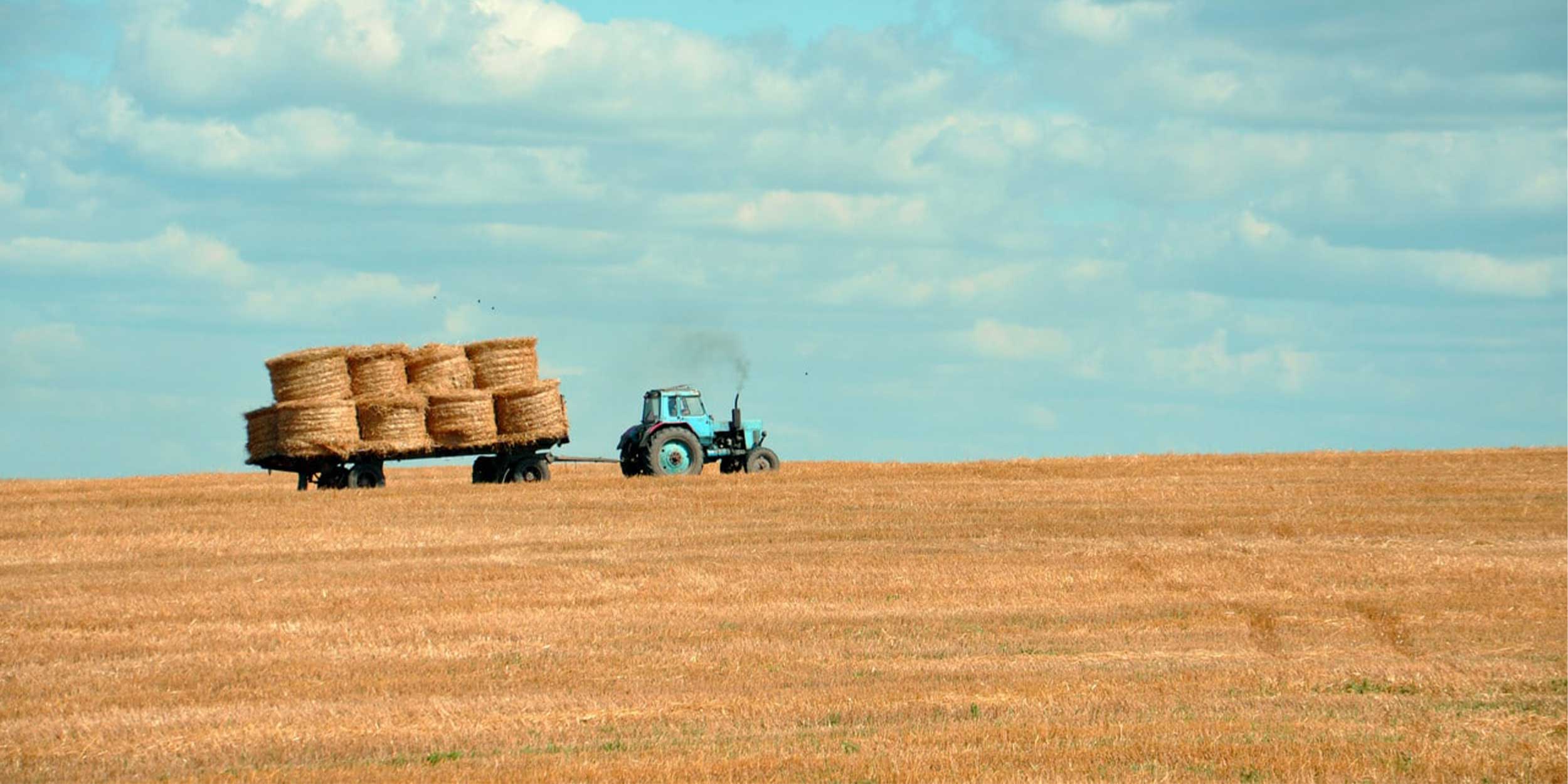 Farming affects biodiversity