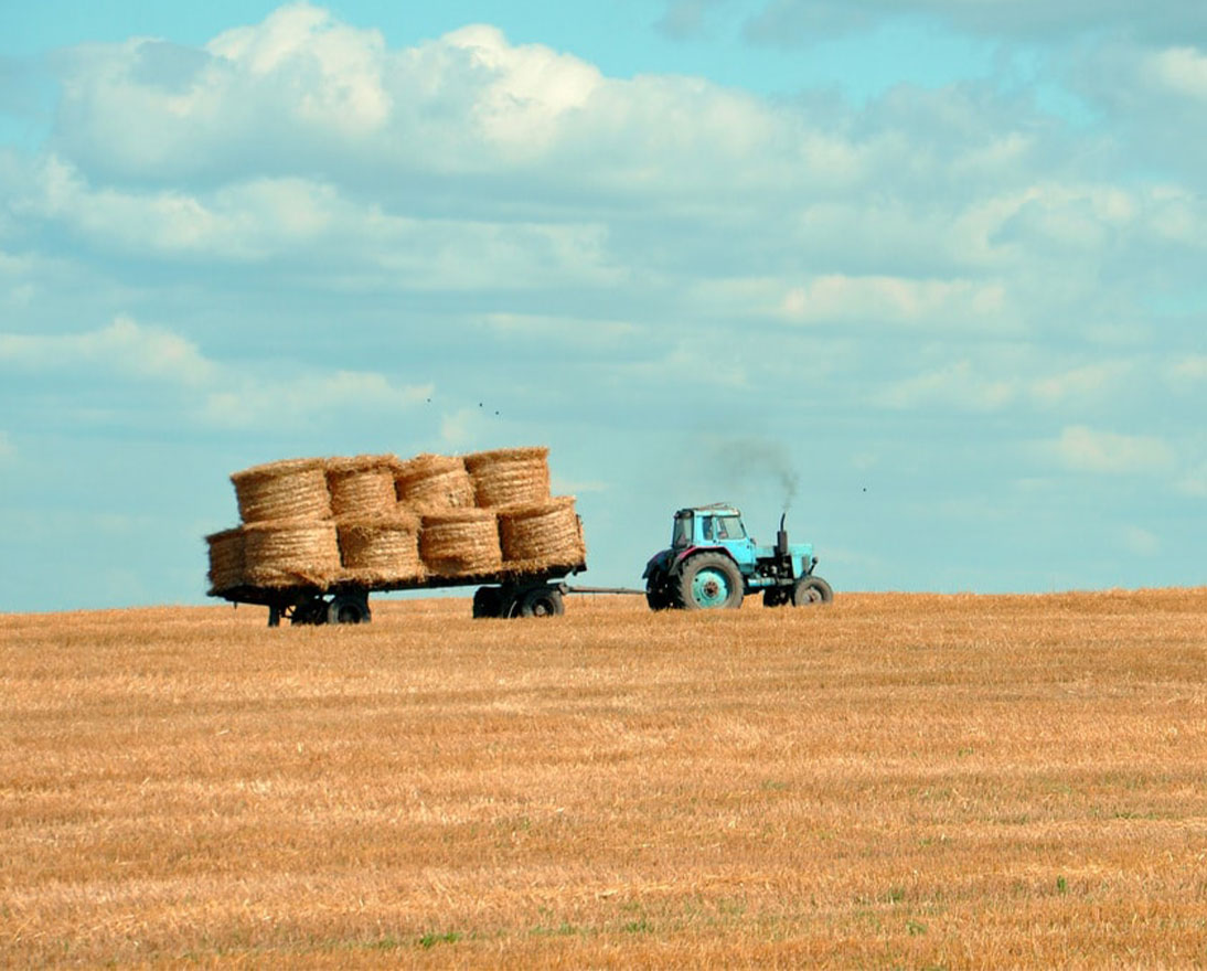 Farming affects biodiversity